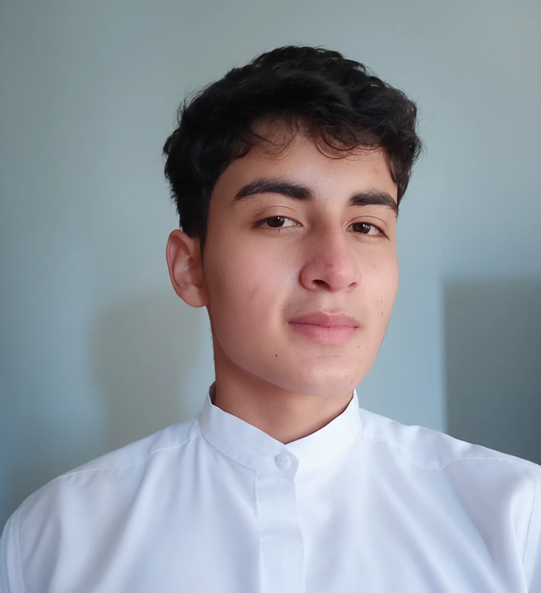 Luis Sagnay - Software Developer